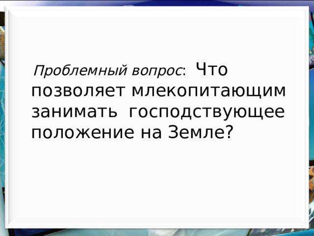  Проблемный вопрос : Что позволяет млекопитающим занимать господствующее положение на Земле? 