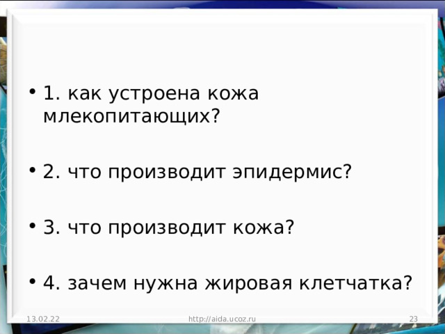 1. как устроена кожа млекопитающих?  2. что производит эпидермис?  3. что производит кожа?  4. зачем нужна жировая клетчатка? 13.02.22 http://aida.ucoz.ru  