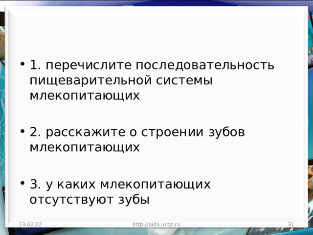 1. перечислите последовательность пищеварительной системы млекопитающих  2. расскажите о строении зубов млекопитающих  3. у каких млекопитающих отсутствуют зубы  13.02.22 http://aida.ucoz.ru  