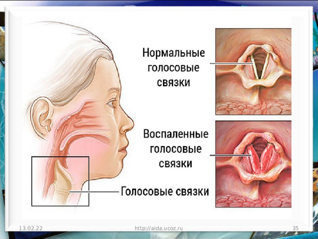 13.02.22 http://aida.ucoz.ru  