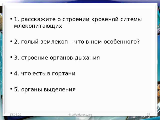 1. расскажите о строении кровеной ситемы млекопитающих  2. голый землекоп – что в нем особенного?  3. строение органов дыхания  4. что есть в гортани  5. органы выделения  13.02.22 http://aida.ucoz.ru  