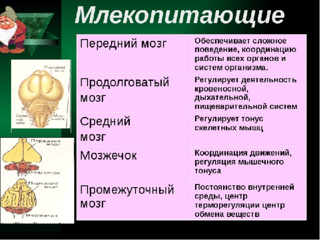 13.02.22 http://aida.ucoz.ru  