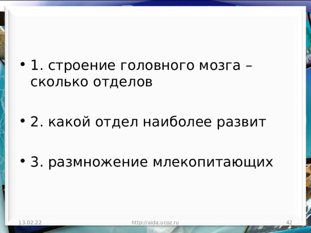 1. строение головного мозга – сколько отделов  2. какой отдел наиболее развит  3. размножение млекопитающих 13.02.22 http://aida.ucoz.ru  