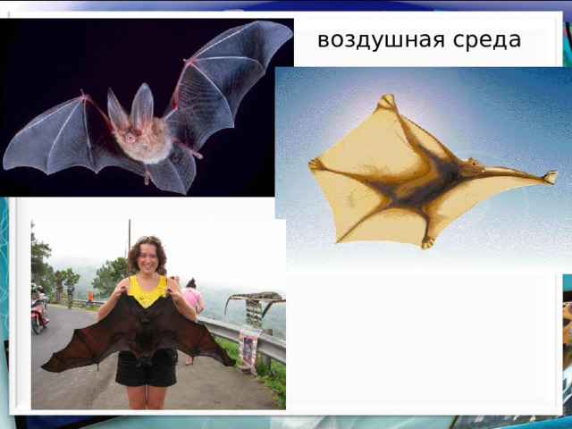  воздушная среда 