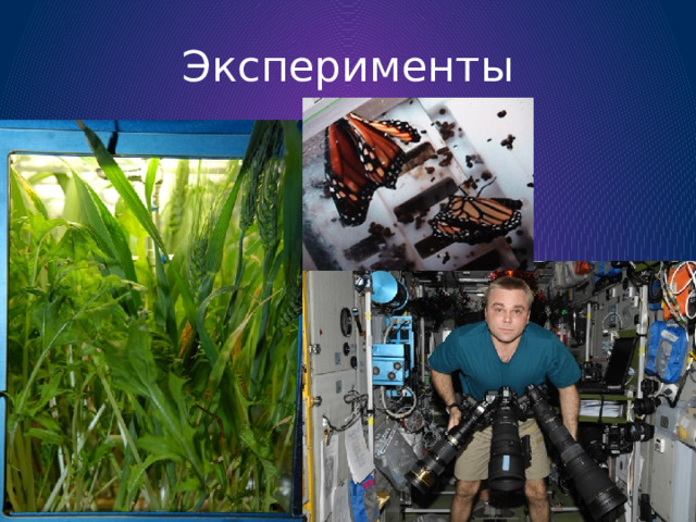 Эксперименты 