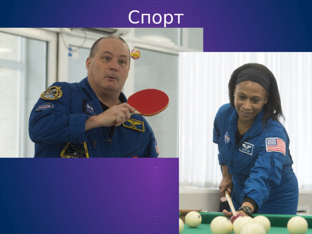 Спорт 
