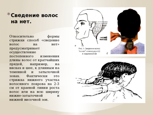 Сведение волос на нет. Относительно формы стрижки способ «сведение волос на нет» предусматривает осуществление постепенного изменения длины волос от кратчайших прядей, например, на висках и шее, к длинным на теменной и затылочной зонах. Фактически это стрижка нижнего участка волосяного покрова на 2-3 см от краевой линии роста волос или на всю ширину нижне-затылочной и нижней височной зон. 
