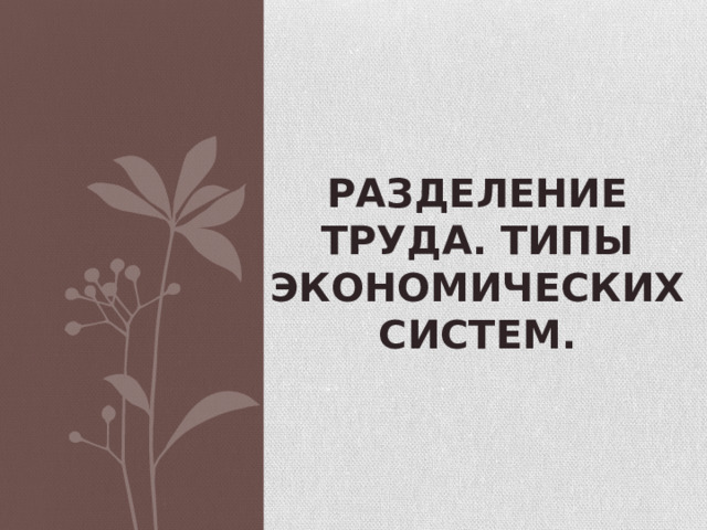 Разделение труда. Типы экономических систем. 