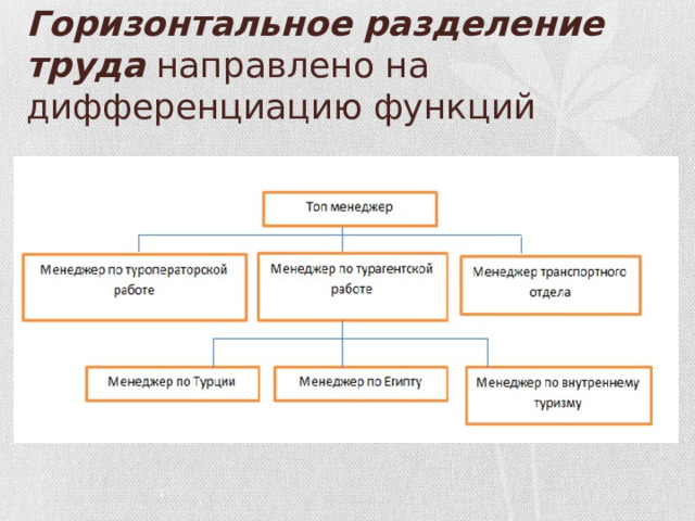Горизонтальное   разделение труда направлено на дифференциацию функций 