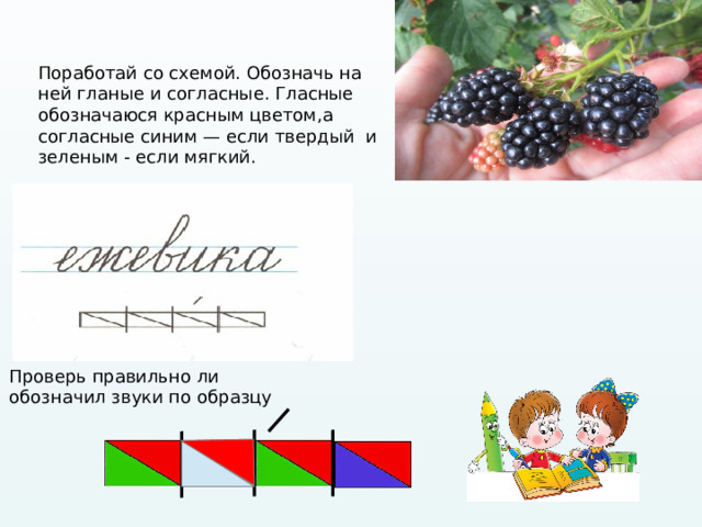 Поработай со схемой. Обозначь на ней гланые и согласные. Гласные обозначаюся красным цветом,а согласные синим — если твердый и зеленым - если мягкий. Проверь правильно ли обозначил звуки по образцу  