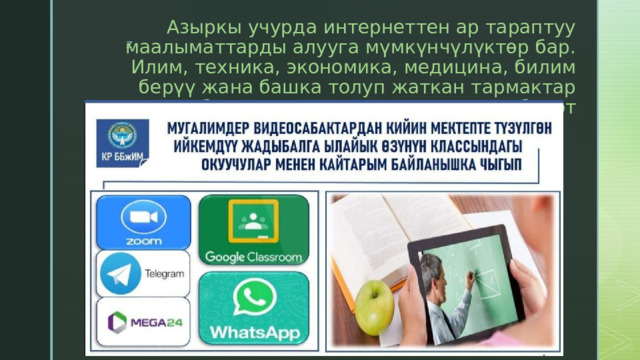 Азыркы учурда интернеттен ар тараптуу маалыматтарды алууга мүмкүнчүлүктөр бар. Илим, техника, экономика, медицина, билим берүү жана башка толуп жаткан тармактар боюнча маалыматтарды алууга болот 