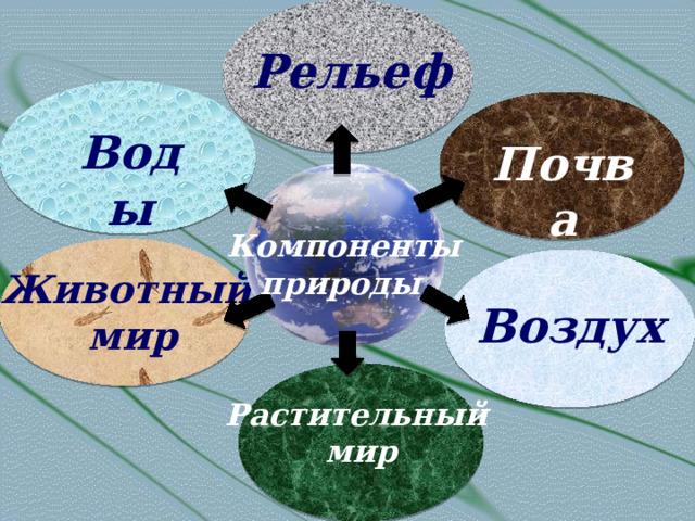 Рельеф Воды Почва  Компоненты природы Животный  мир Воздух Растительный мир 