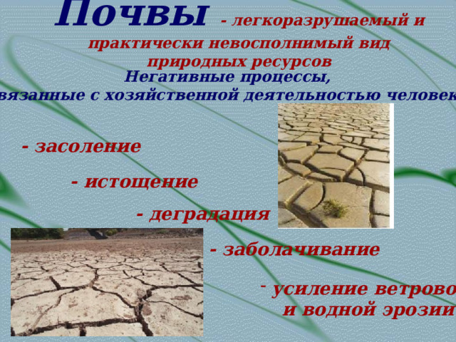 Почвы - легкоразрушаемый и практически невосполнимый вид природных ресурсов Негативные процессы, связанные с хозяйственной деятельностью человека - засоление - истощение - деградация - заболачивание усиление ветровой  и водной эрозии 