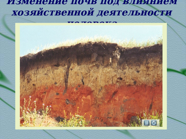 Изменение почв под влиянием хозяйственной деятельности человека 
