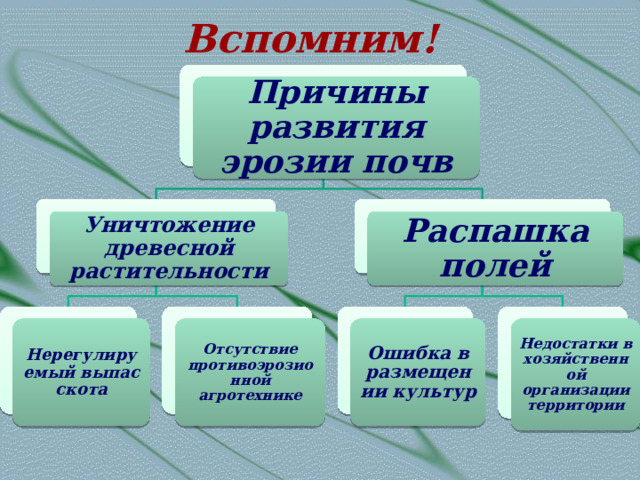 Вспомним! Причины развития эрозии почв Уничтожение древесной растительности Распашка полей Нерегулируемый выпас скота Отсутствие противоэрозионной агротехнике Ошибка в размещении культур Недостатки в хозяйственной организации территории 