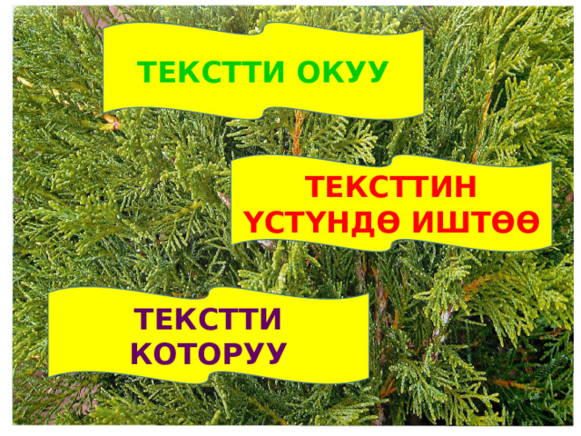 ТЕКСТТИ ОКУУ ТЕКСТТИН Y СТ Y НД Ѳ ИШТѲѲ ТЕКСТТИ КОТОРУУ 