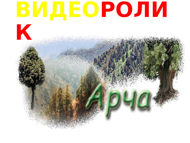 ВИДЕО РОЛИК 