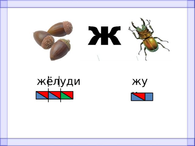 жук жёлуди 