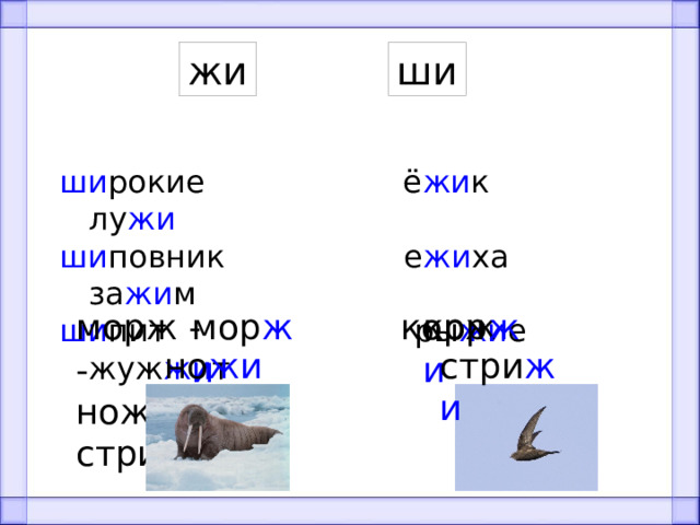 жи ши ши рокие ё жи к лу жи ши повник е жи ха за жи м ши пит ры жи е жуж жи т морж - корж - мор жи кор жи нож - стриж - но жи стри жи 