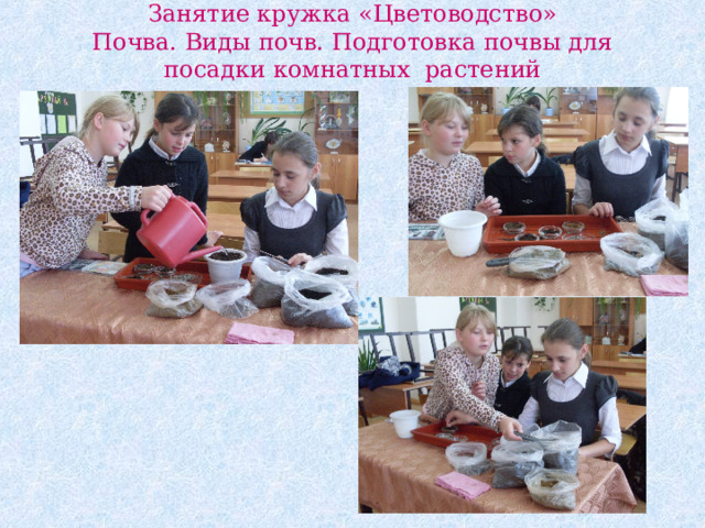 Занятие кружка «Цветоводство»  Почва. Виды почв. Подготовка почвы для посадки комнатных растений 