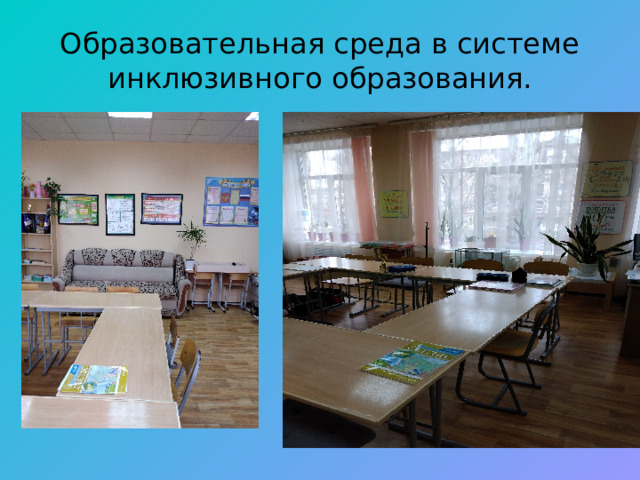 Образовательная среда в системе инклюзивного образования. 