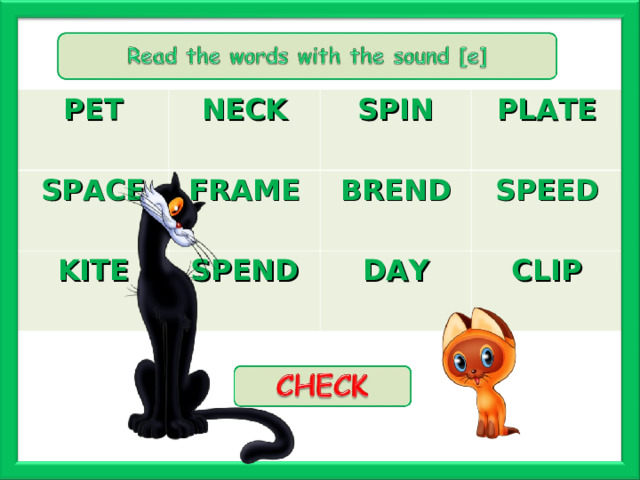 PET NECK SPACE KITE SPIN FRAME BREND SPEND PLATE SPEED DAY  CLIP 