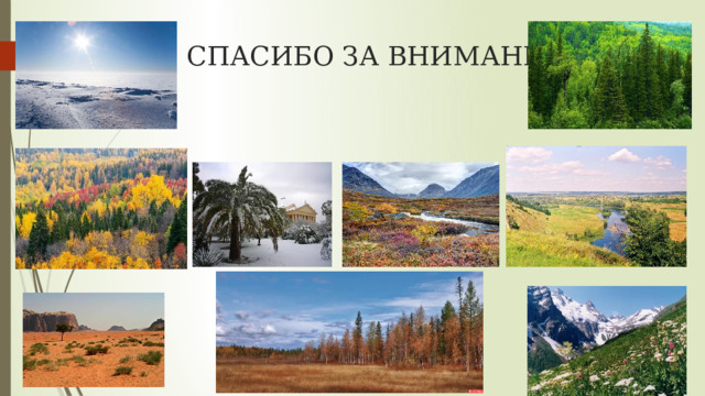 СПАСИБО ЗА ВНИМАНИЕ ! 