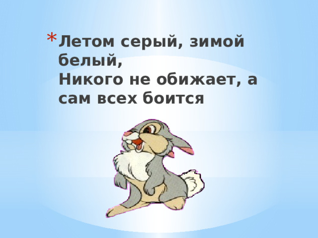 Летом серый, зимой белый,  Никого не обижает, а сам всех боится 
