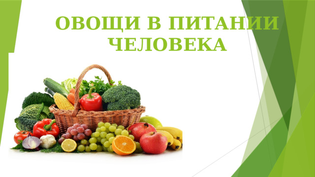 ОВОЩИ В ПИТАНИИ ЧЕЛОВЕКА 