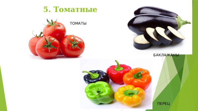5. Томатные ТОМАТЫ БАКЛАЖАНЫ ПЕРЕЦ 