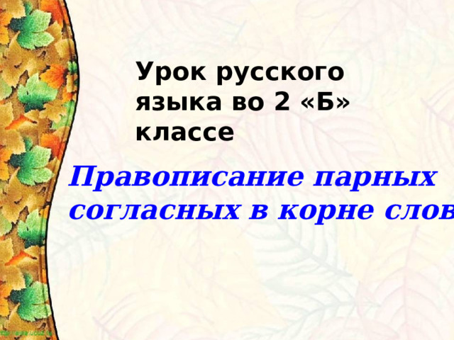 Урок русского языка во 2 «Б» классе Правописание парных согласных в корне слова  