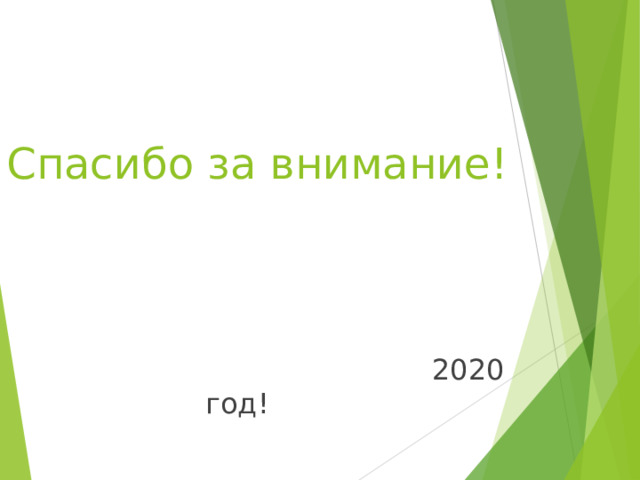 Спасибо за внимание!  2020 год! 