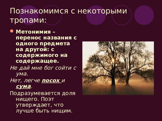 Познакомимся с некоторыми тропами: Метонимия – перенос названия с одного предмета на другой: с содержимого на содержащее. Не дай мне бог сойти с ума. Нет, легче посох и сума . Подразумевается доля нищего. Поэт утверждает, что лучше быть нищим. 