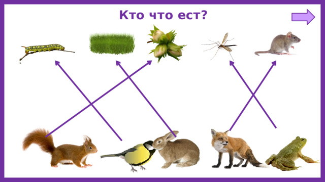 Кто что ест? 