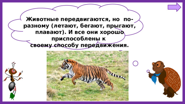 Животные передвигаются, но  по-разному (летают, бегают, прыгают, плавают). И все они хорошо приспособлены к  своему способу передвижения. 