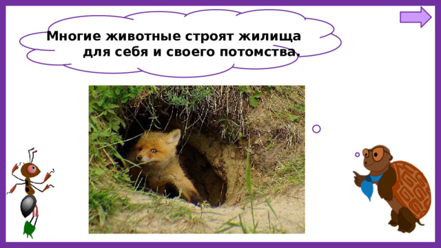 Многие животные строят жилища для себя и своего потомства. 