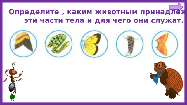 Определите , каким животным принадлежат эти части тела и для чего они служат. 