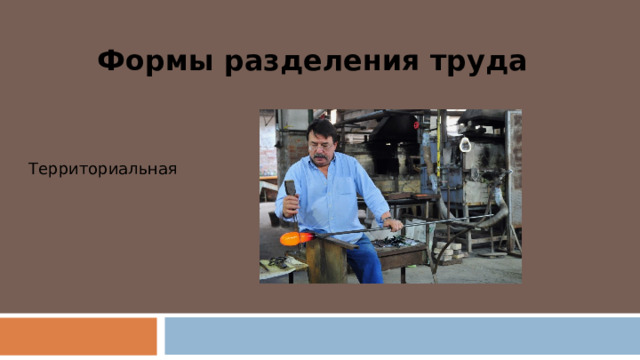 Формы разделения труда Территориальная 