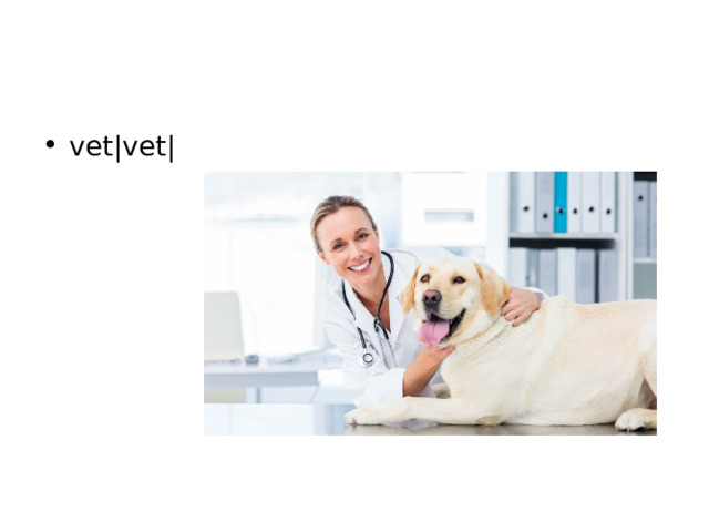 vet|vet| 