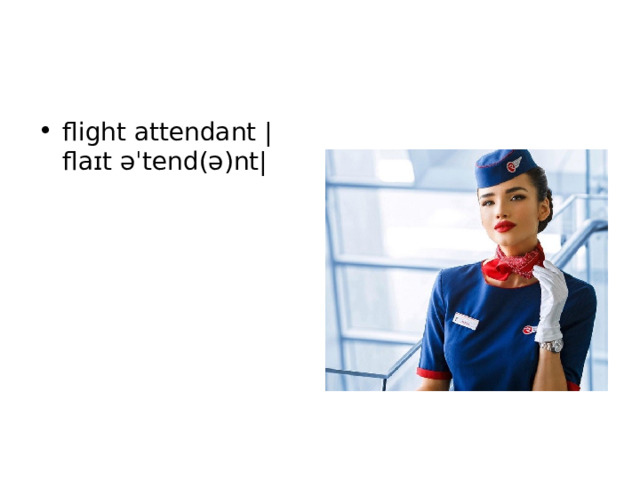 flight attendant |flaɪt əˈtend(ə)nt|  