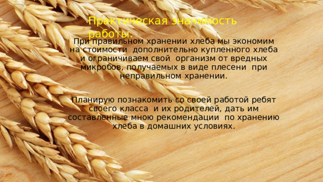 Практическая  значимость  работы. При  правильном хранении  хлеба  мы  экономим на  стоимости  дополнительно  купленного  хлеба  и  ограничиваем  свой организм от вредных микробов, получаемых в виде плесени при  неправильном  хранении. Планирую познакомить со своей работой ребят своего класса  и  их родителей,  дать  им  составленные  мною  рекомендации по  хранению  хлеба  в домашних  условиях. 