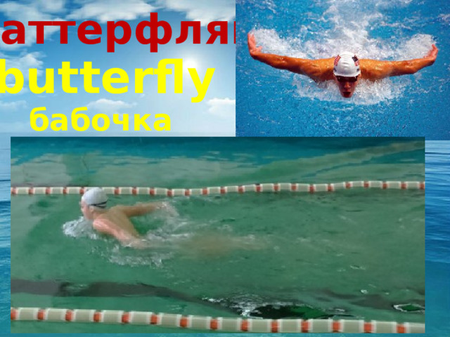 Баттерфляй butterfly бабочка 
