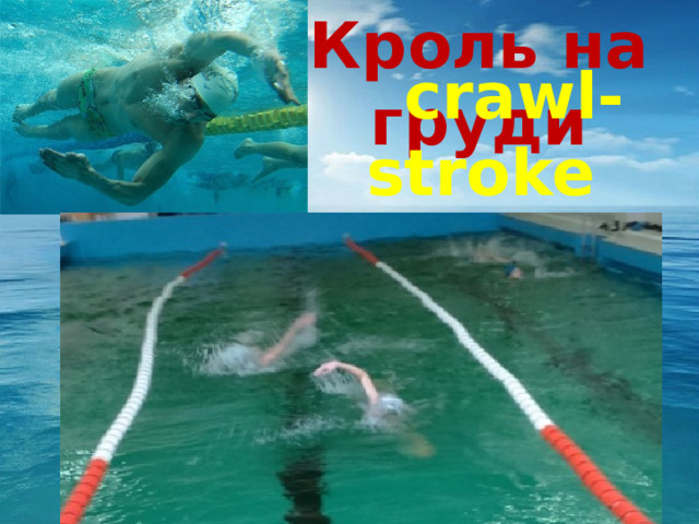 Кроль на груди  crawl-stroke  медленное грудь   движение   