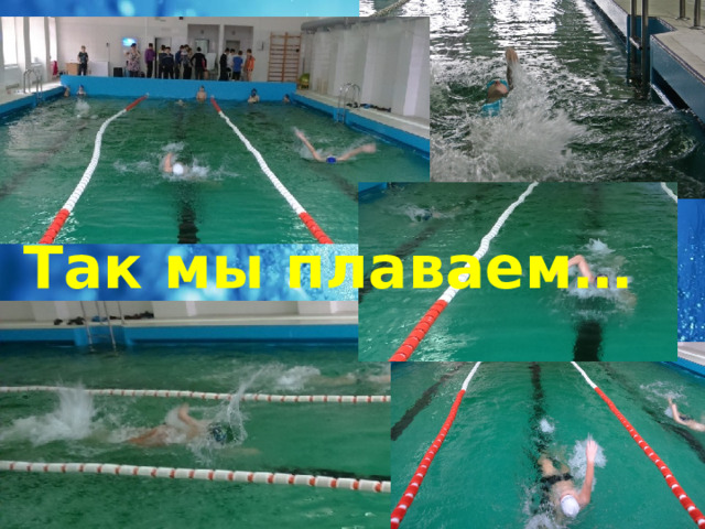 Так мы плаваем… 