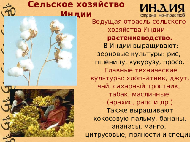 Сельское хозяйство Индии Ведущая отрасль сельского хозяйства Индии – растениеводство.  В Индии выращивают: зерновые культуры: рис, пшеницу, кукурузу, просо.  Главные технические культуры: хлопчатник, джут, чай, сахарный тростник, табак, масличные (арахис, рапс и др.) Также выращивают  кокосовую пальму, бананы, ананасы, манго, цитрусовые, пряности и специи. 