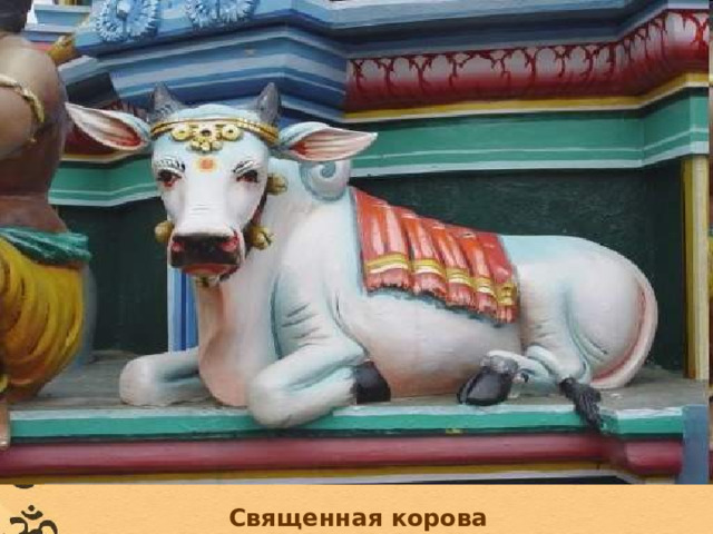 Священная корова 