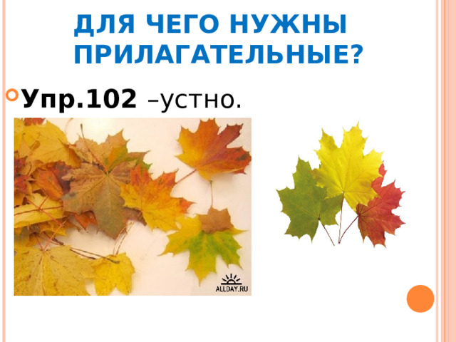  ДЛЯ ЧЕГО НУЖНЫ  ПРИЛАГАТЕЛЬНЫЕ? Упр.102 –устно. 