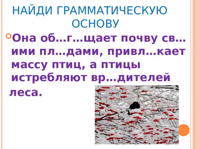НАЙДИ ГРАММАТИЧЕСКУЮ    ОСНОВУ Она об…г…щает почву св…ими пл…дами, привл…кает массу птиц, а птицы истребляют вр…дителей  леса. 