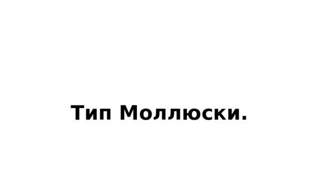 Тип Моллюски. 
