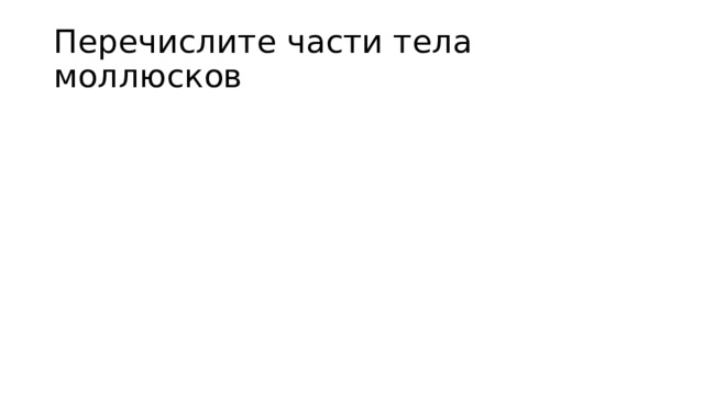 Перечислите части тела моллюсков 